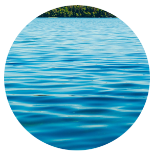 Water Quality